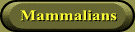 Mammalians