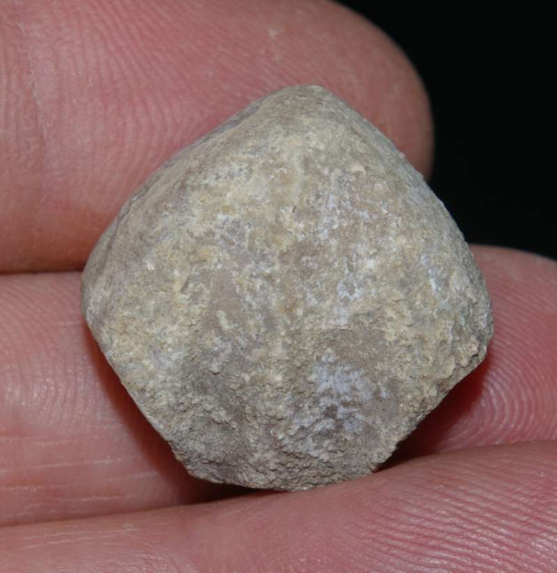  Cretaceous, Cenamonian fossil brachiopod 