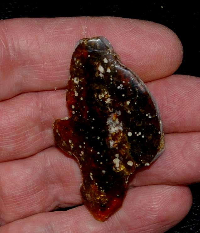Genuine Baltic amber for sale