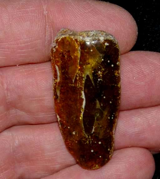 Genuine Baltic amber for sale