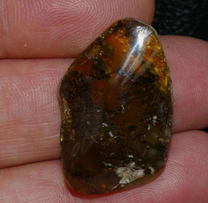 Genuine Baltic amber for sale