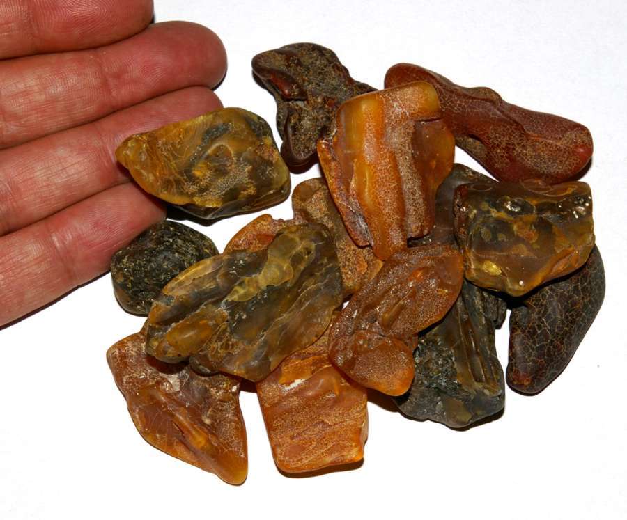 Genuine Baltic amber for sale