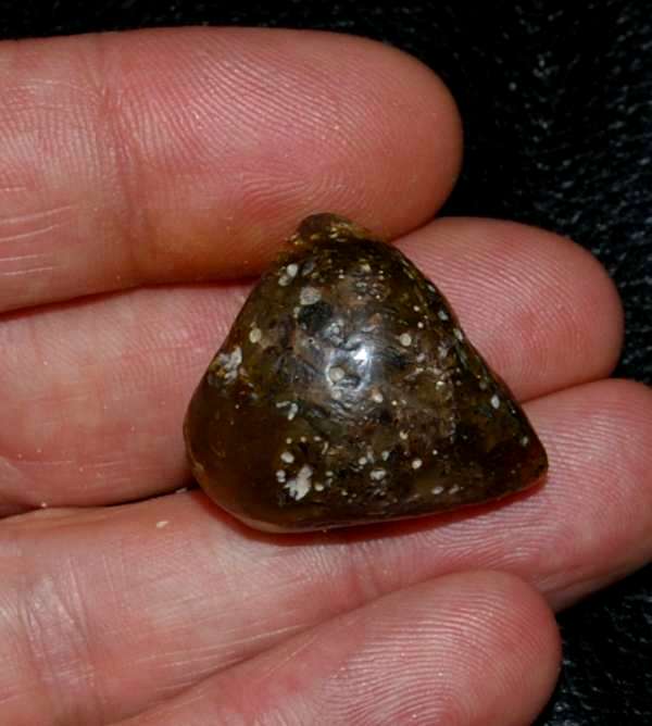 Genuine Baltic amber for sale