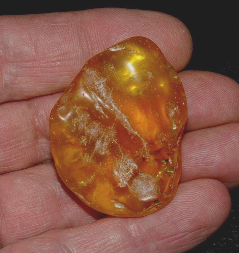 Genuine Baltic amber for sale.jpg