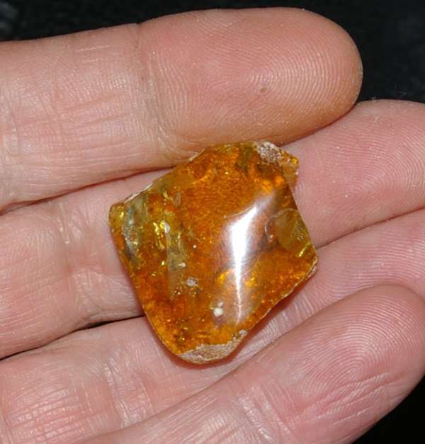 photos/Baltic amber.jpg