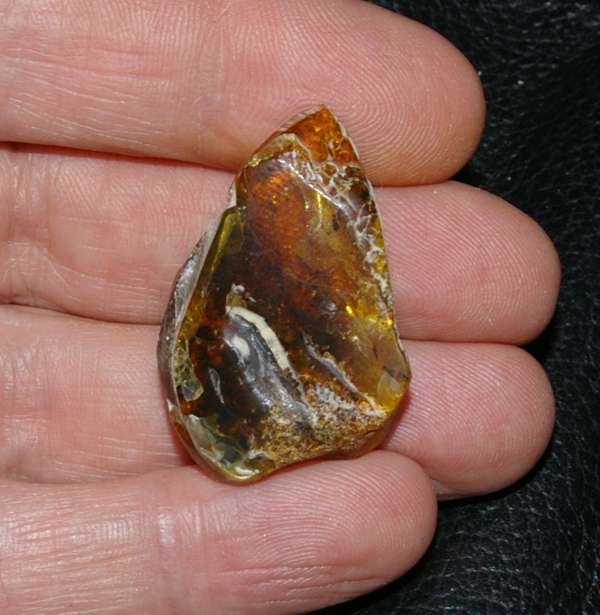 Ambre de la Baltique 