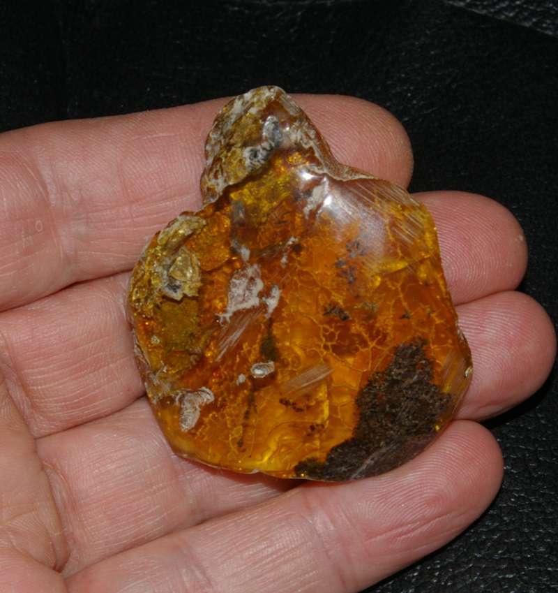 Ambre de la Baltique 