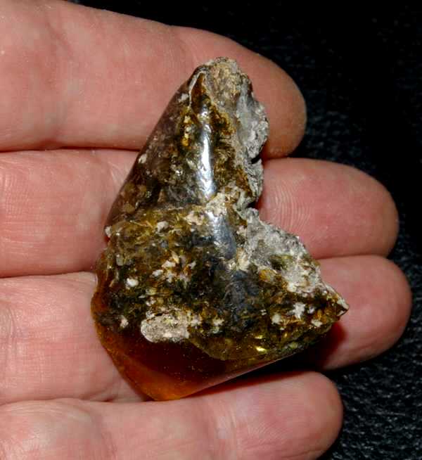 ámbar del Báltico