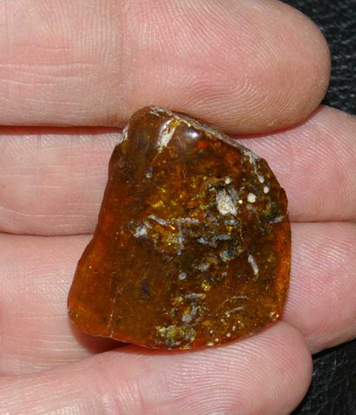 ámbar del Báltico
