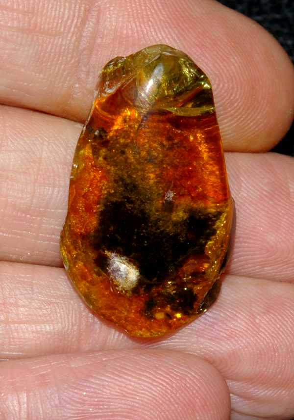 ámbar del Báltico