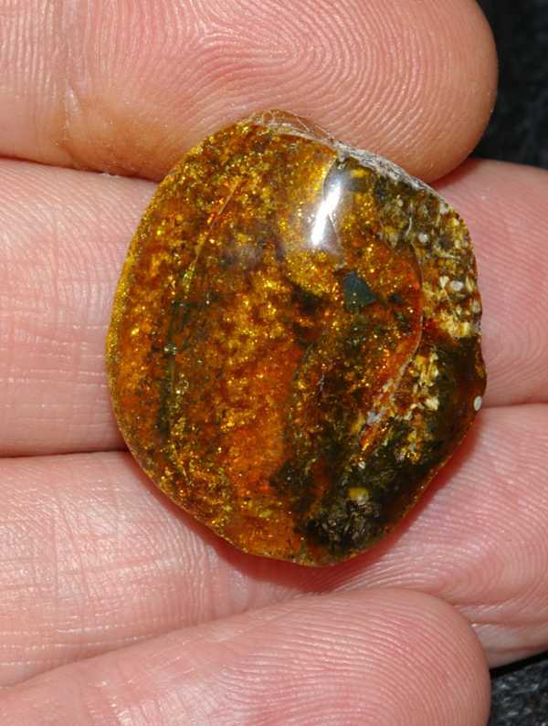 ámbar del Báltico