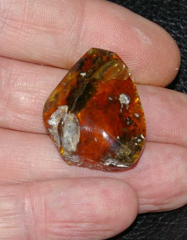 Ambra baltica in vendita