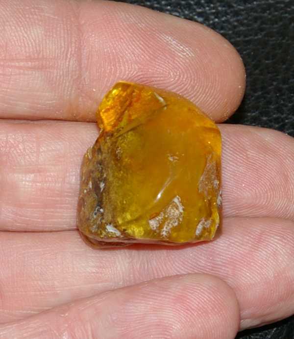 Ambra baltica in vendita