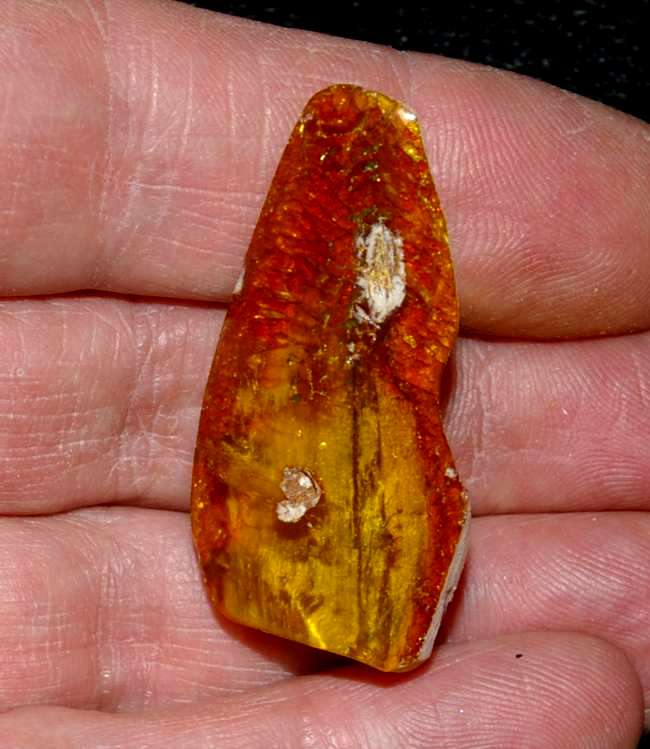 Genuine Baltic amber for sale