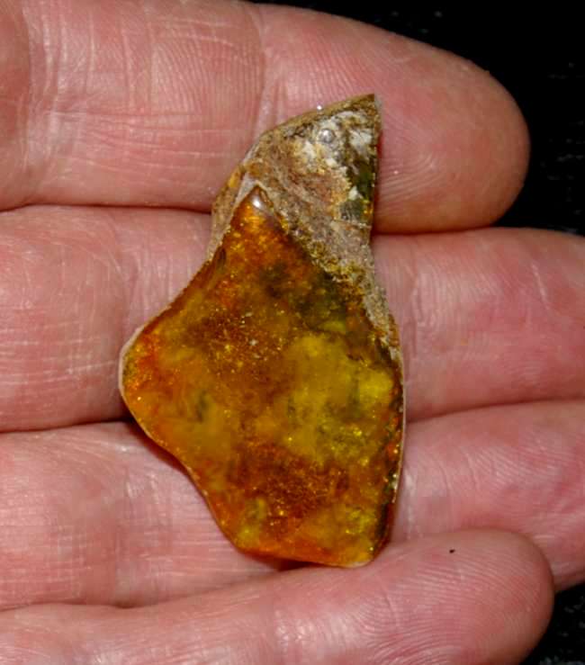 Genuine Baltic amber for sale