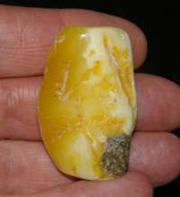  Baltic amber
