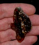 Genuine Baltic amber
