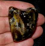 Genuine Baltic amber