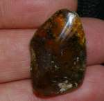 Genuine Baltic amber