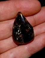Genuine Baltic amber
