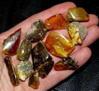 amber baltic for sale