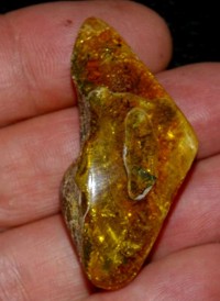  Genuine Baltic amber