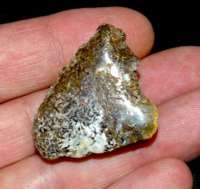  amber baltic for sale