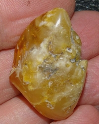  Genuine Baltic amber