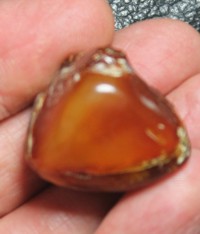  ambre de la Baltique