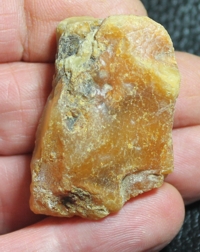  baltic amber