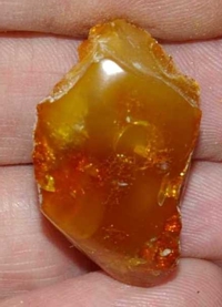  Baltiku ambra