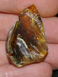 Genuine Baltic amber.jpg