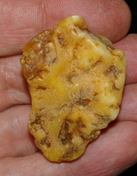  Genuine Baltic amber for sale.jpg