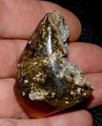 ámbar del Báltico.jpg