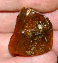 ámbar del Báltico.jpg
