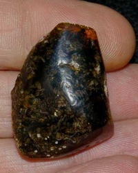ámbar del Báltico.jpg