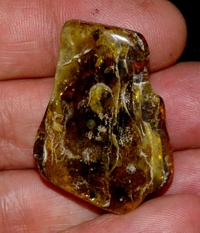 Baltische amber.jpg