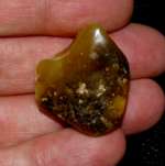 Genuine baltic amber