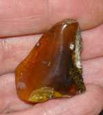 Genuine baltic amber