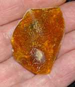Genuine baltic amber