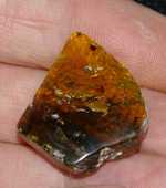 Genuine baltic amber