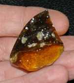 Genuine baltic amber