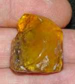 Genuine baltic amber