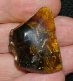 Genuine baltic amber