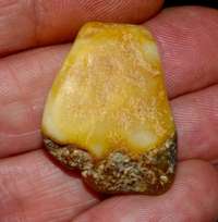  rougt baltic amber