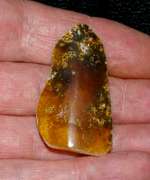 Genuine Baltic amber