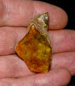Genuine Baltic amber