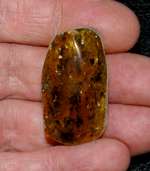 Genuine Baltic amber