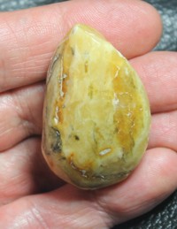  Baltic amber