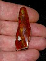 Genuine Baltic amber